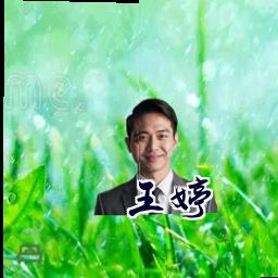 王婷